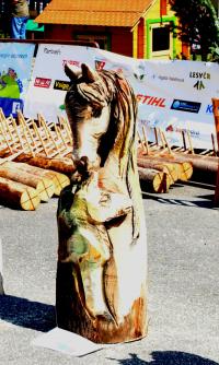 Ryclořežba - 3. místo