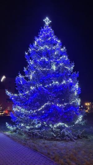 Nejkrásnější vánoční strom Frýdeckomístecka má Jablunkov. Vendryně těsně druhá 1